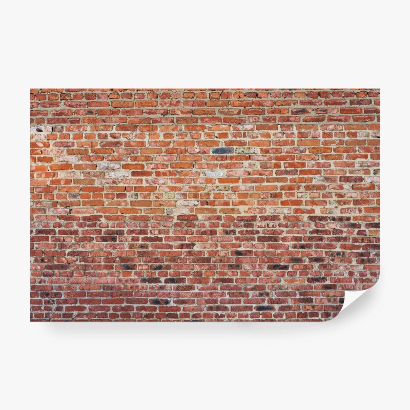 Wall mural exposed red brick texture