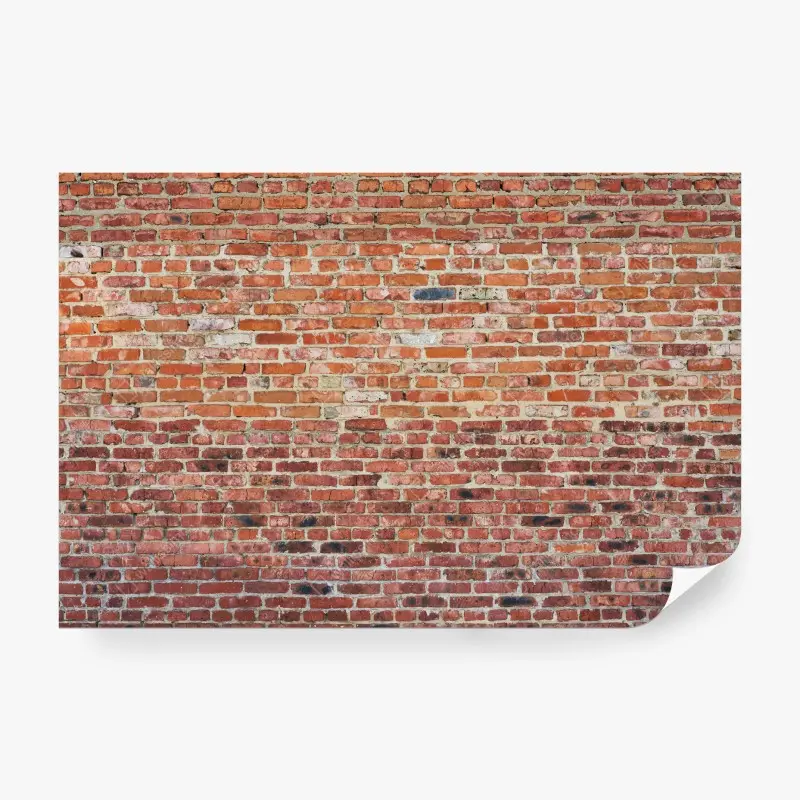 Wall mural exposed red brick texture
