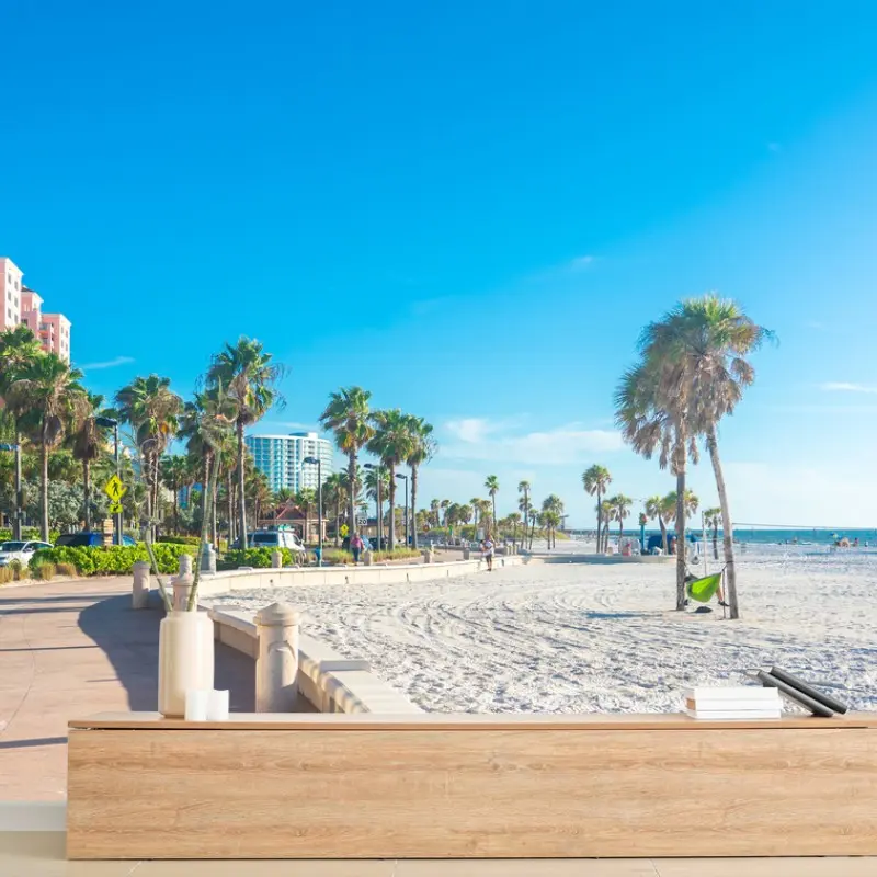 Wall mural sunny palm-lined beach promenade