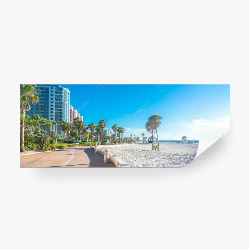 Wall mural sunny palm-lined beach promenade
