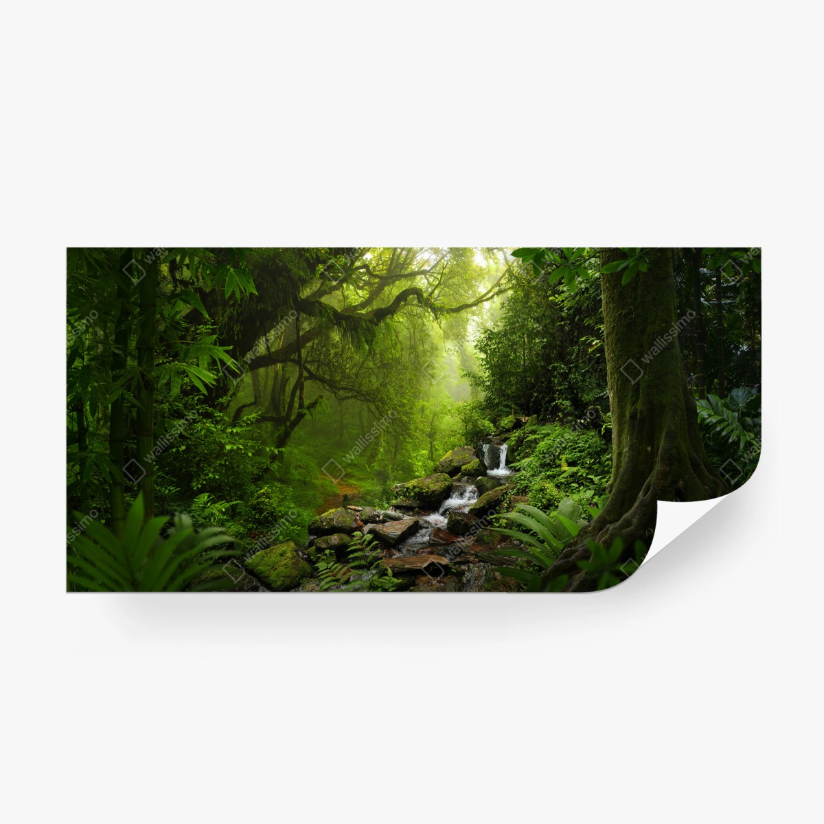 Wall mural tranquil rainforest waterfall • Wallissimo®