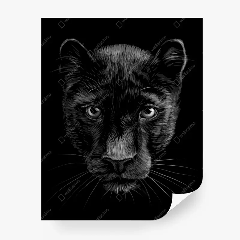 Wall mural black panther portrait