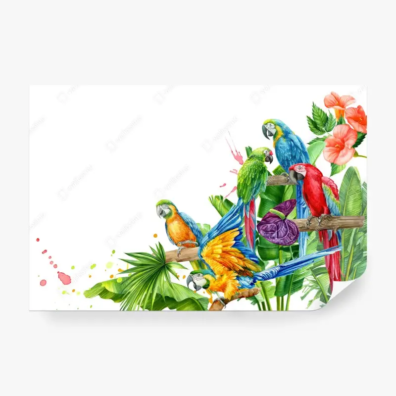 Wall mural colorful tropical macaws illustration