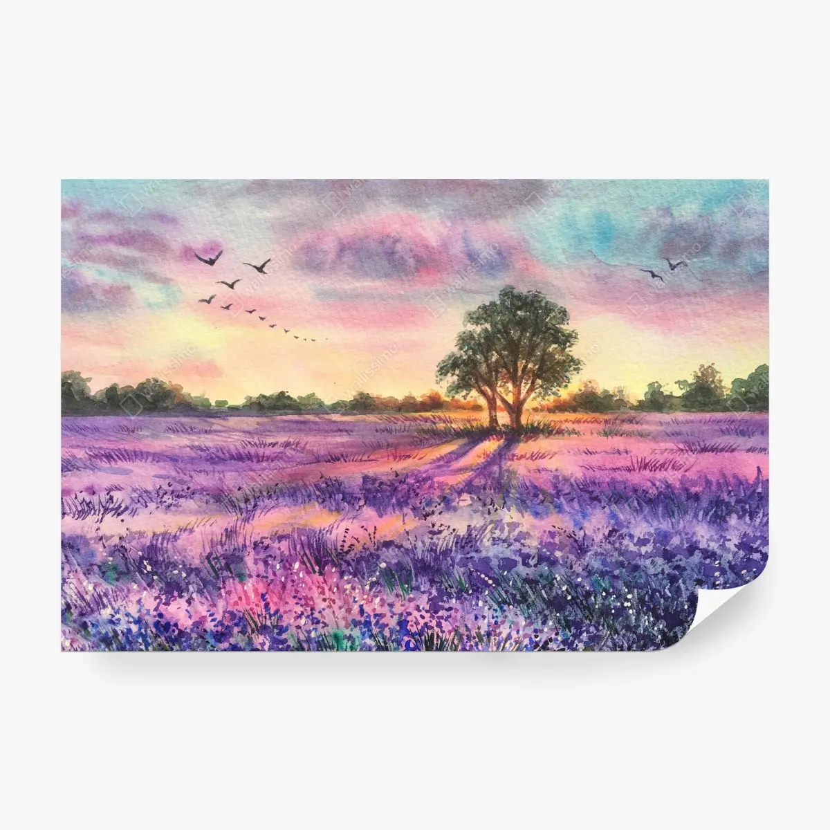 Wall mural lavender sunset meadow • Wallissimo®