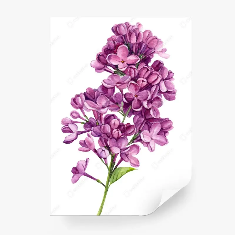 Wall mural delicate lilac watercolor bouquet
