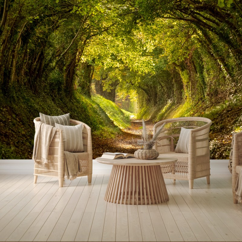 Wall mural sunlit forest tunnel • Wallissimo® Wall mural sunlit forest tunnel • Wallissimo®