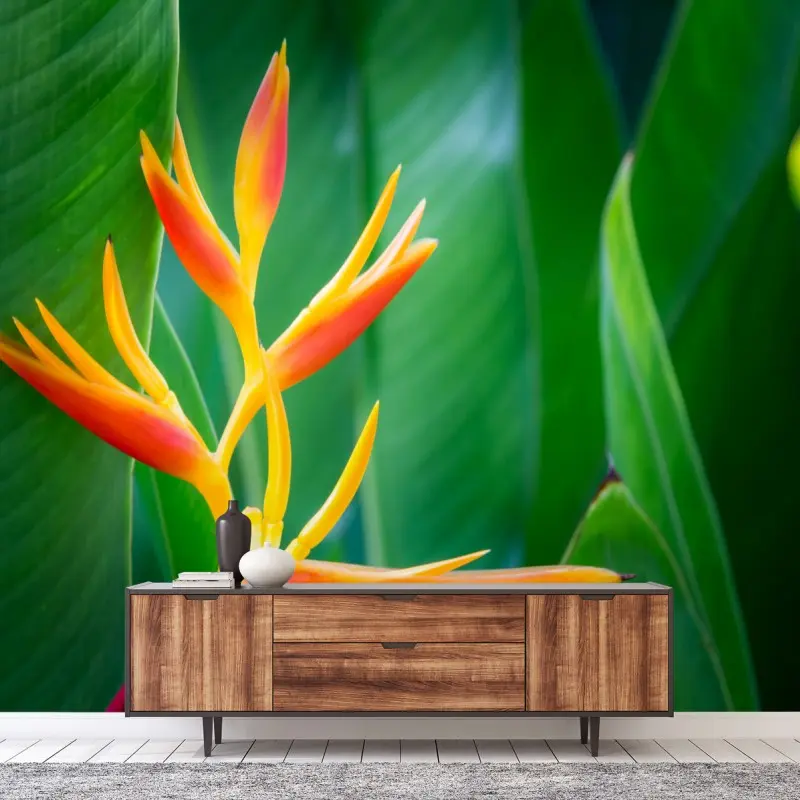 Wall mural vibrant tropical heliconia blossom