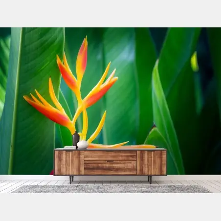 Wall mural vibrant tropical heliconia blossom • Wallissimo®