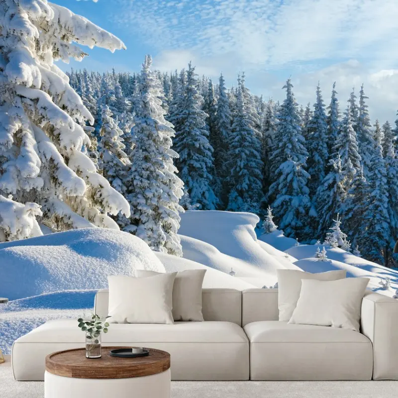 Wall mural calm Carpathian winter morning