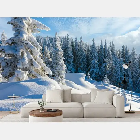 Wall mural calm Carpathian winter morning • Wallissimo®