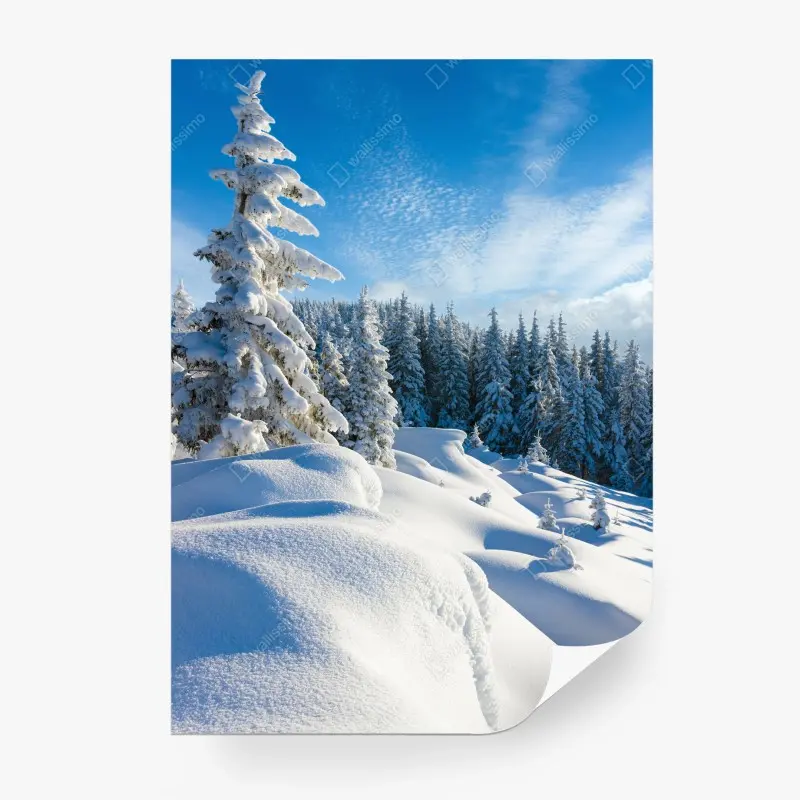Wall mural calm Carpathian winter morning