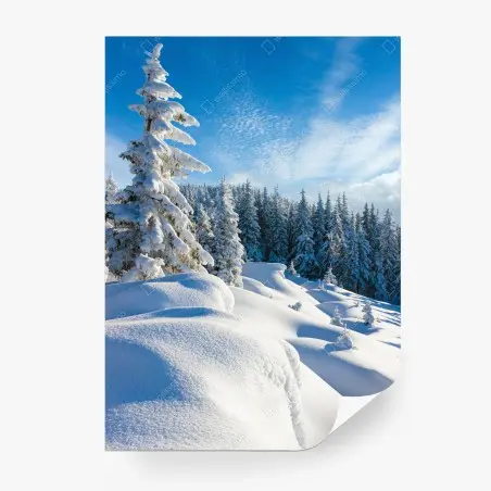 Wall mural calm Carpathian winter morning • Wallissimo®