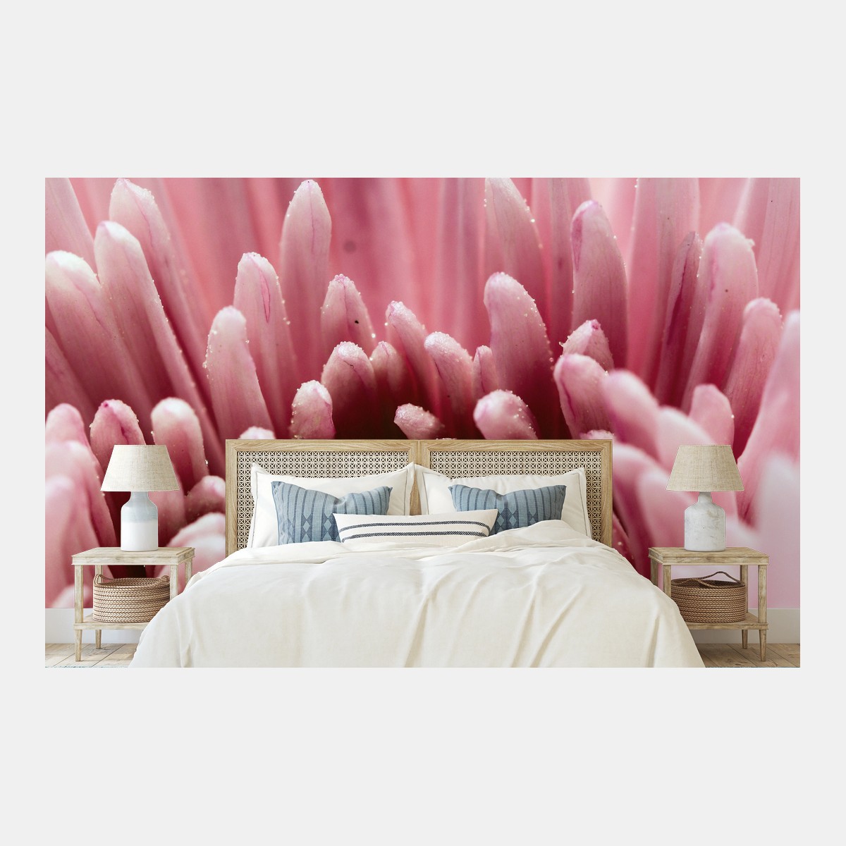 Wall mural soft pink chrysanthemum close-up • Wallissimo®