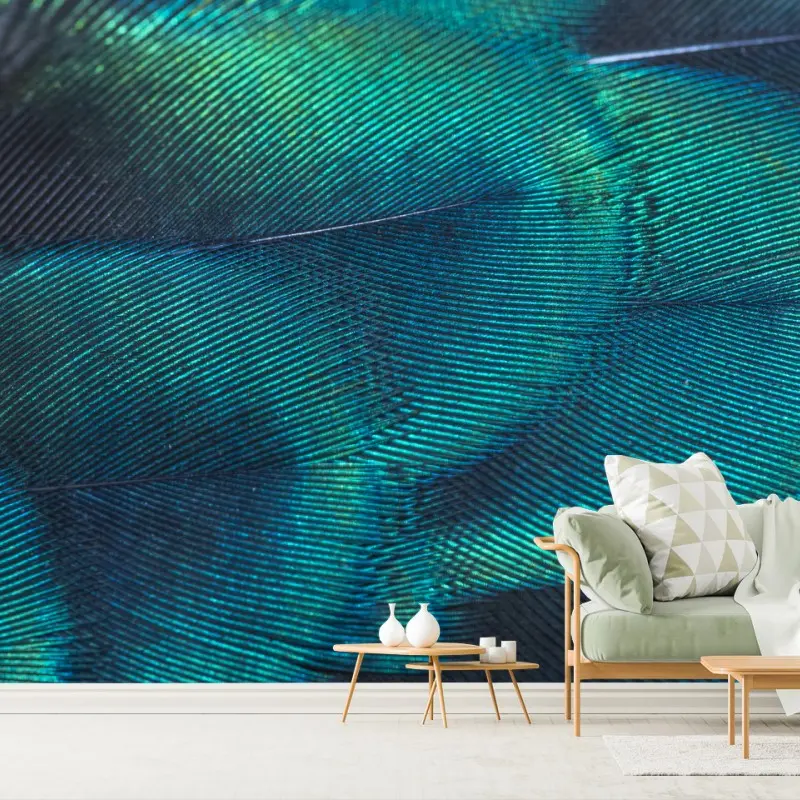 Wall mural iridescent peacock feather close-up