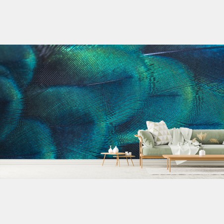Wall mural iridescent peacock feather close-up • Wallissimo®