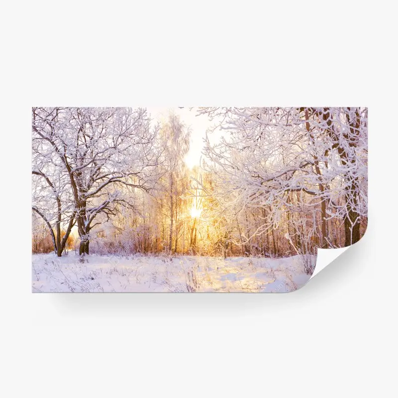 Wall mural snowy winter forest sunrise panorama