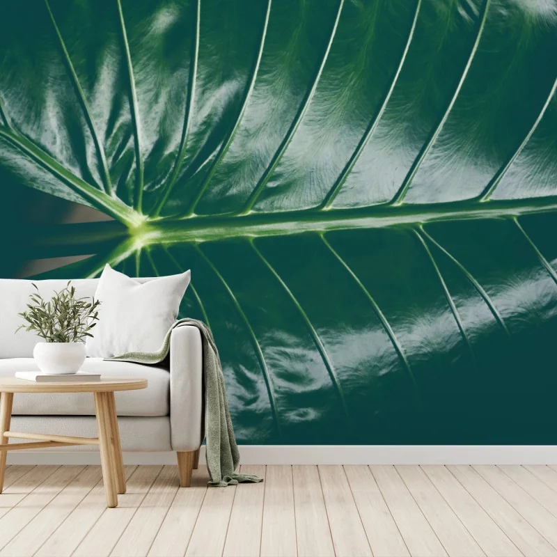 Wall mural lush tropical leaf texture close-up • Wallissimo® Wall mural lush tropical leaf texture close-up • Wallissimo®