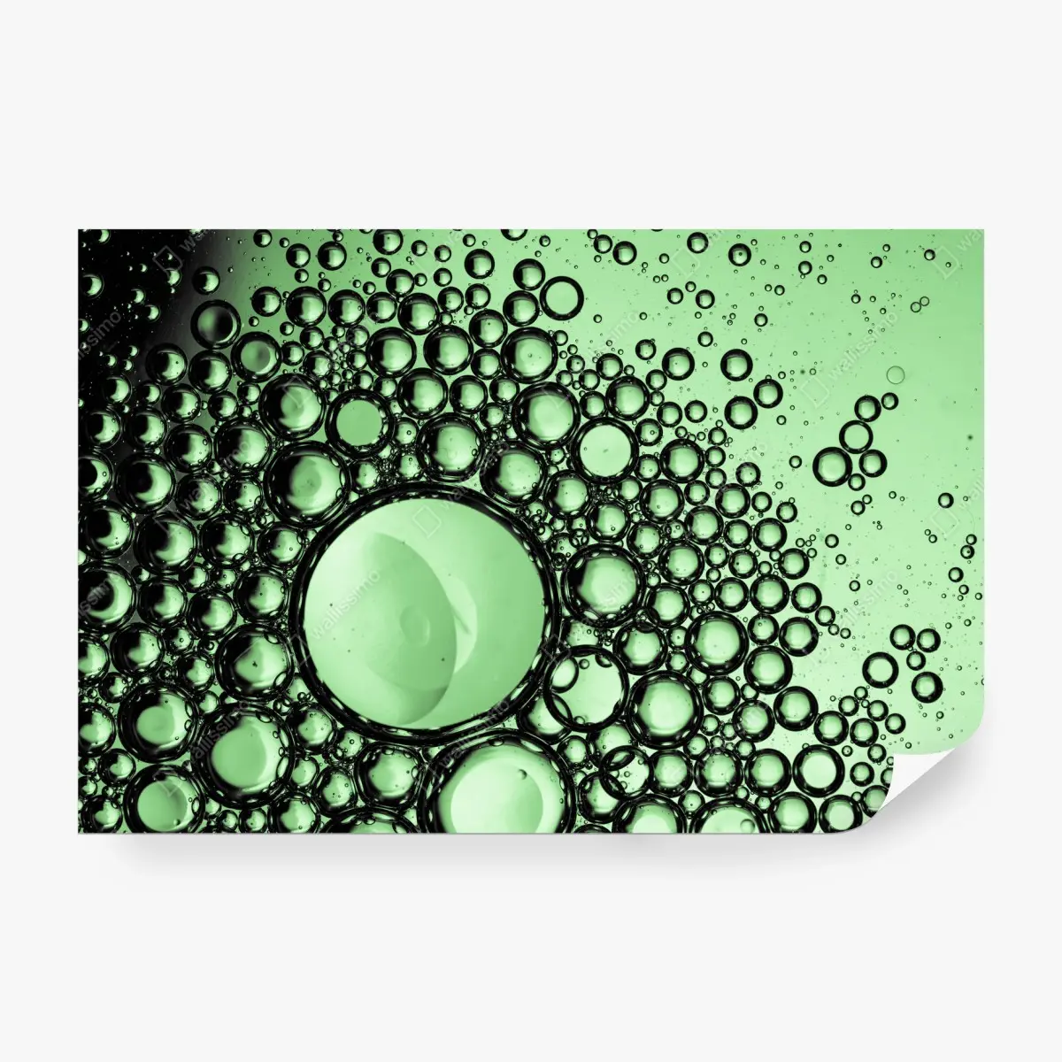 Wall mural green bubble abstract pattern • Wallissimo®