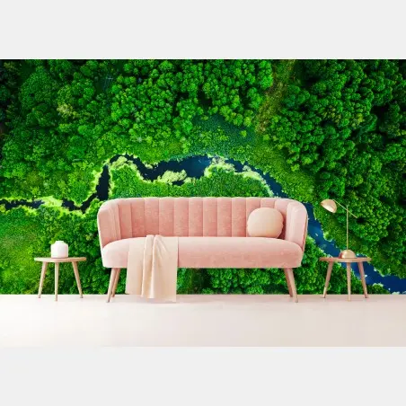 Wall mural lush aerial river through green forest • Wallissimo®