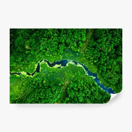 Wall mural lush aerial river through green forest • Wallissimo®