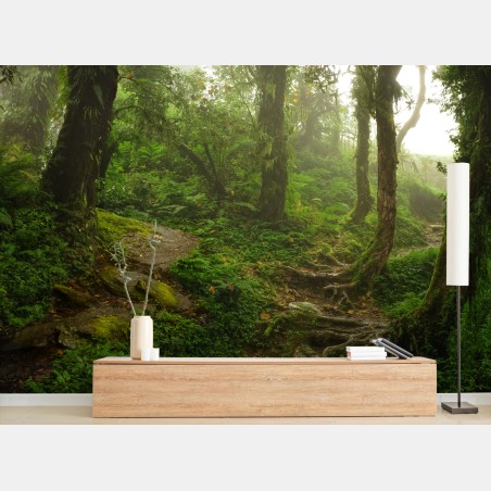 Wall mural misty green forest trail • Wallissimo®