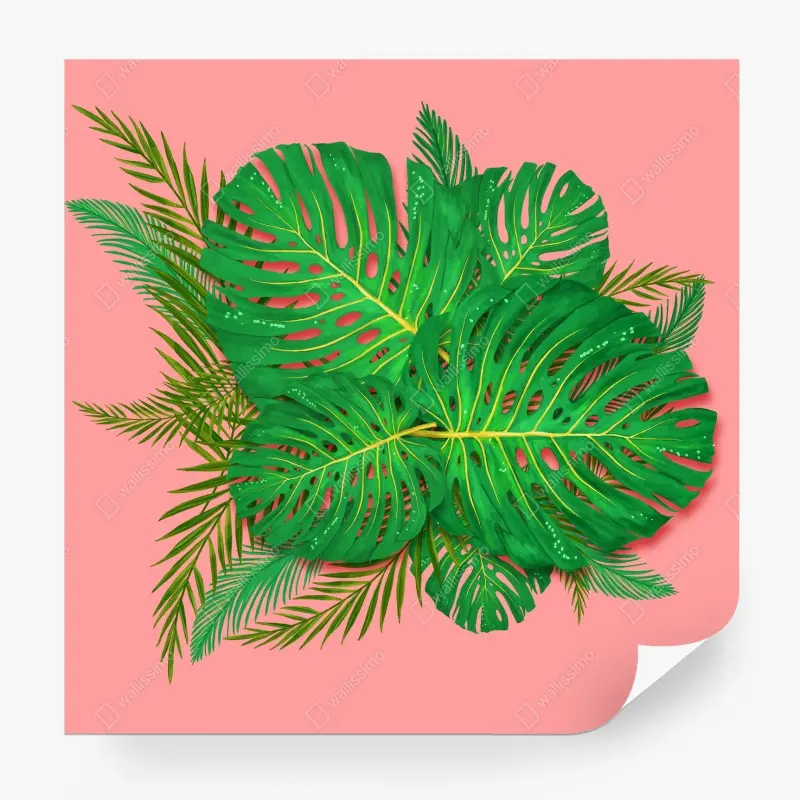 Wall mural vibrant monstera leaves on pink background