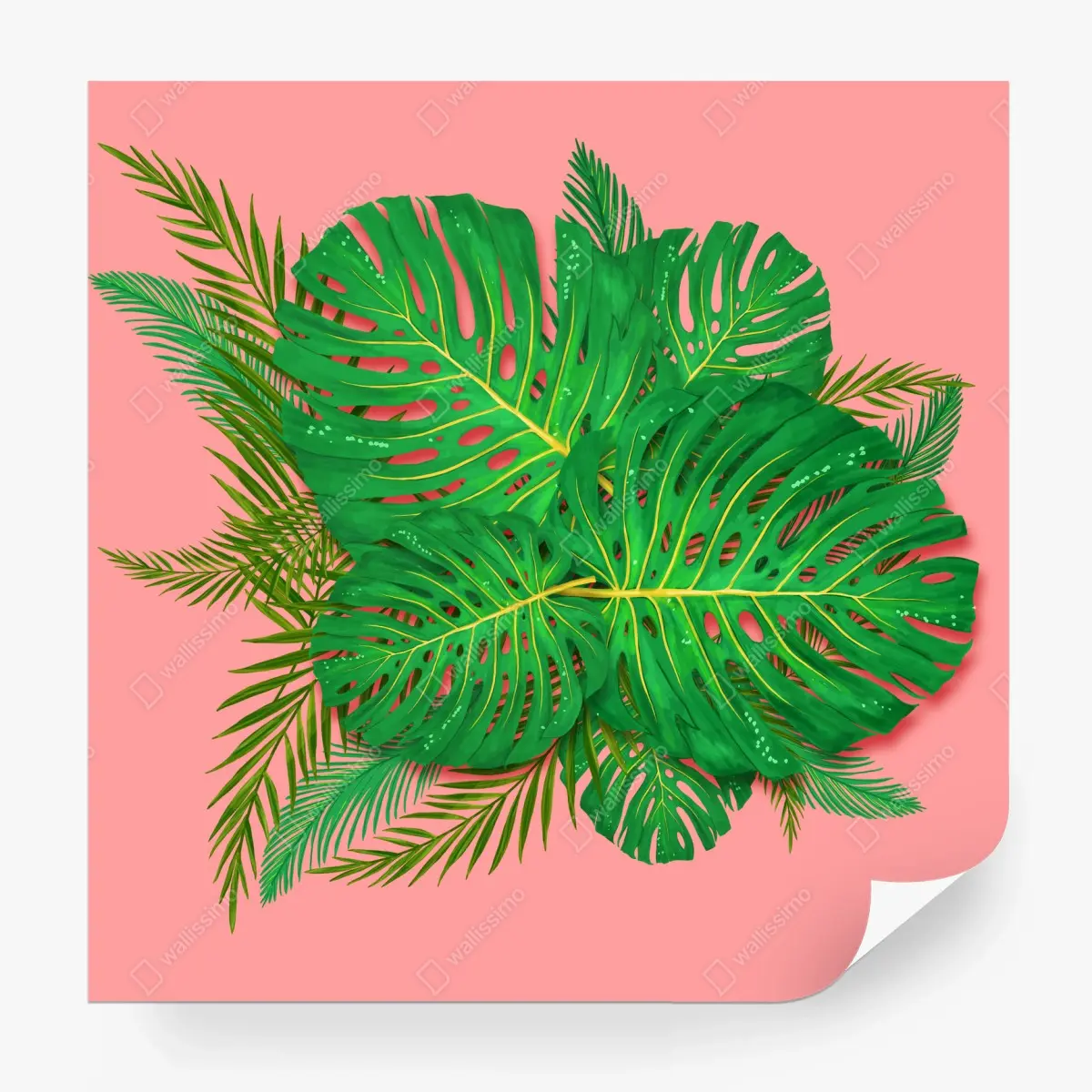 Wall mural vibrant monstera leaves on pink background • Wallissimo®