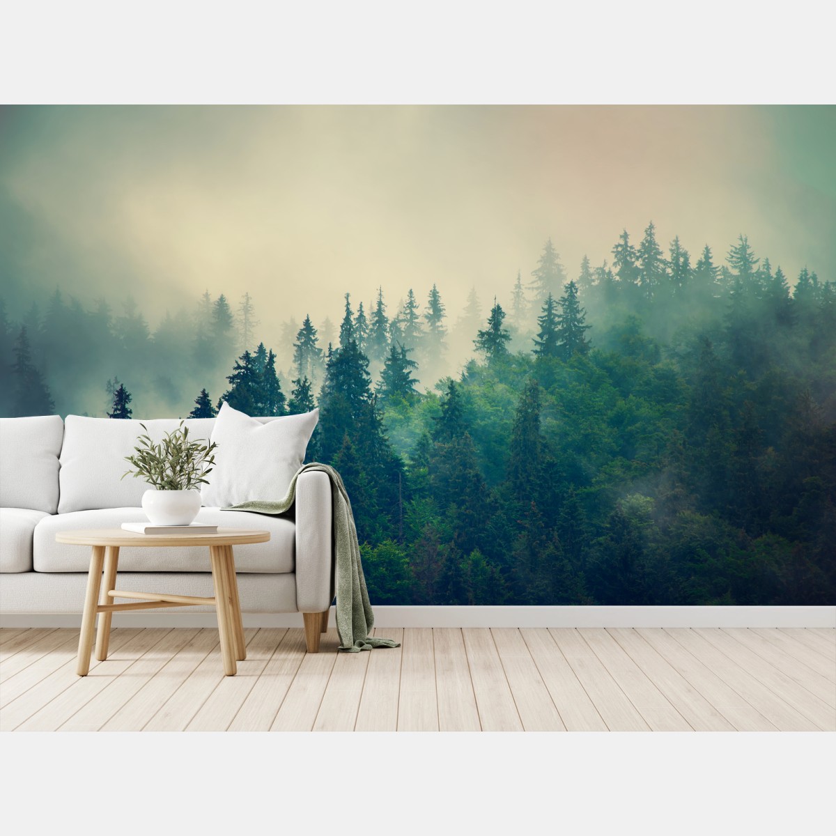Wall mural misty conifer forest at dawn • Wallissimo®