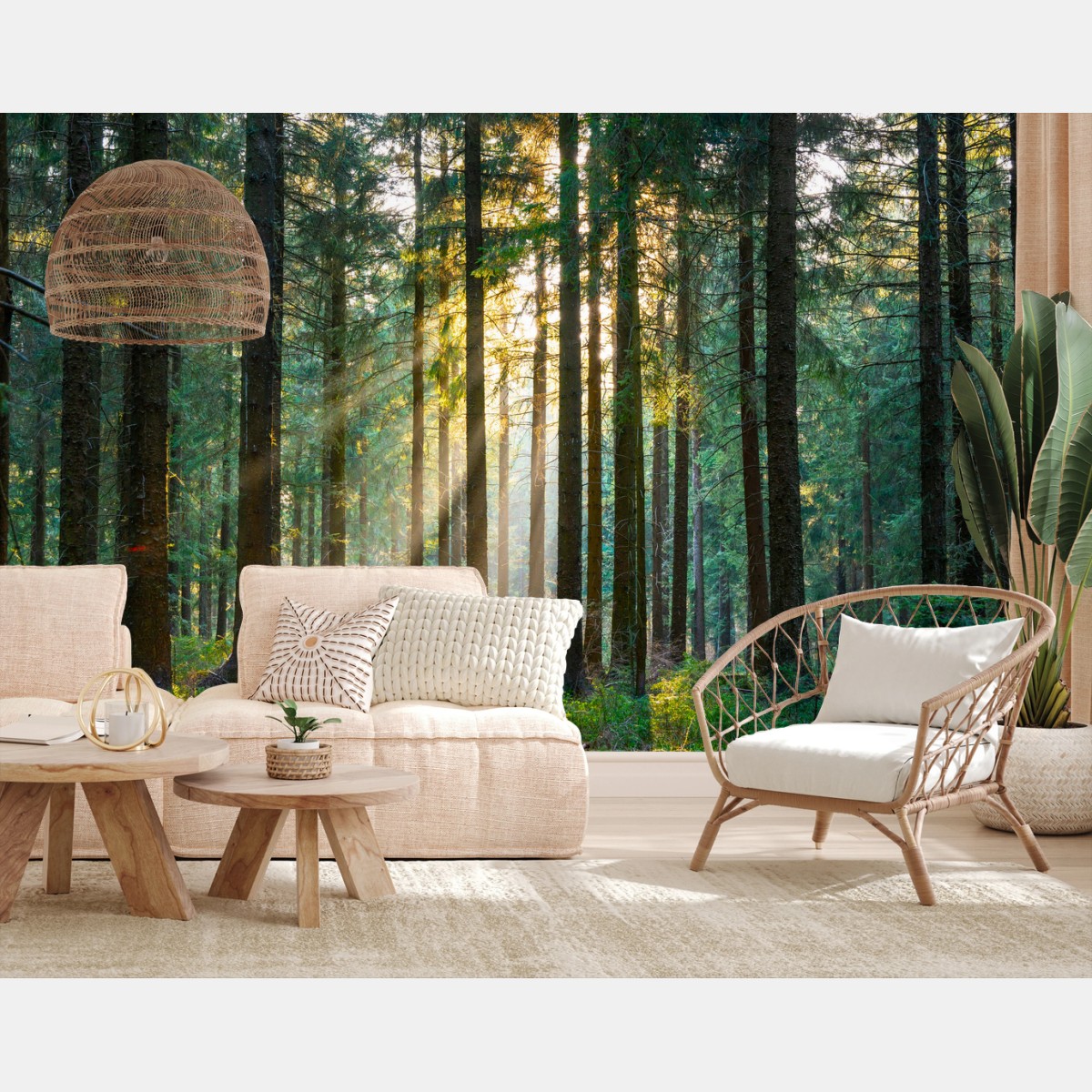 Wall mural silent forest with sun rays • Wallissimo®
