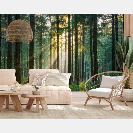 Wall mural silent forest with sun rays • Wallissimo®