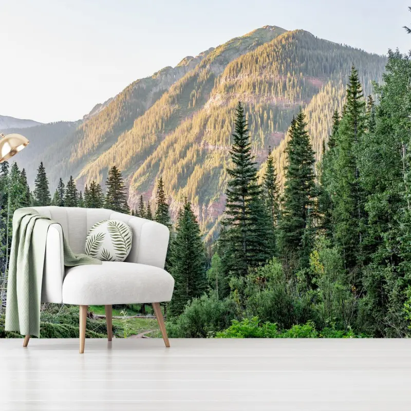 Wall mural golden light mountain forest landscape
