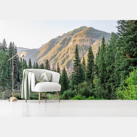 Wall mural golden light mountain forest landscape • Wallissimo®