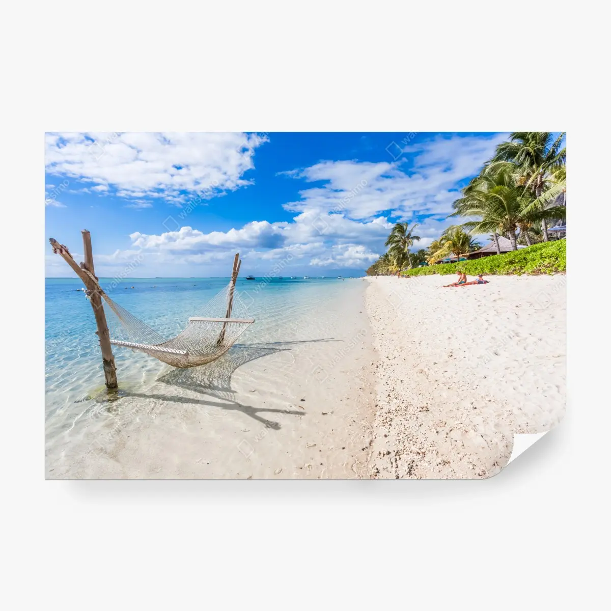 Wall mural tropical hammock on white sand beach • Wallissimo®