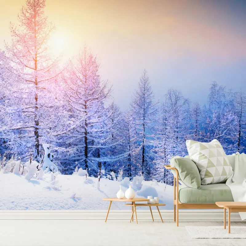 Wall mural winter sunrise in a snowy forest