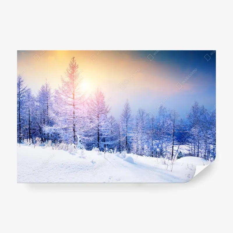 Wall mural winter sunrise in a snowy forest