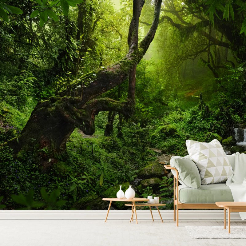 Wall mural enchanted mossy forest stream • Wallissimo® Wall mural enchanted mossy forest stream • Wallissimo®