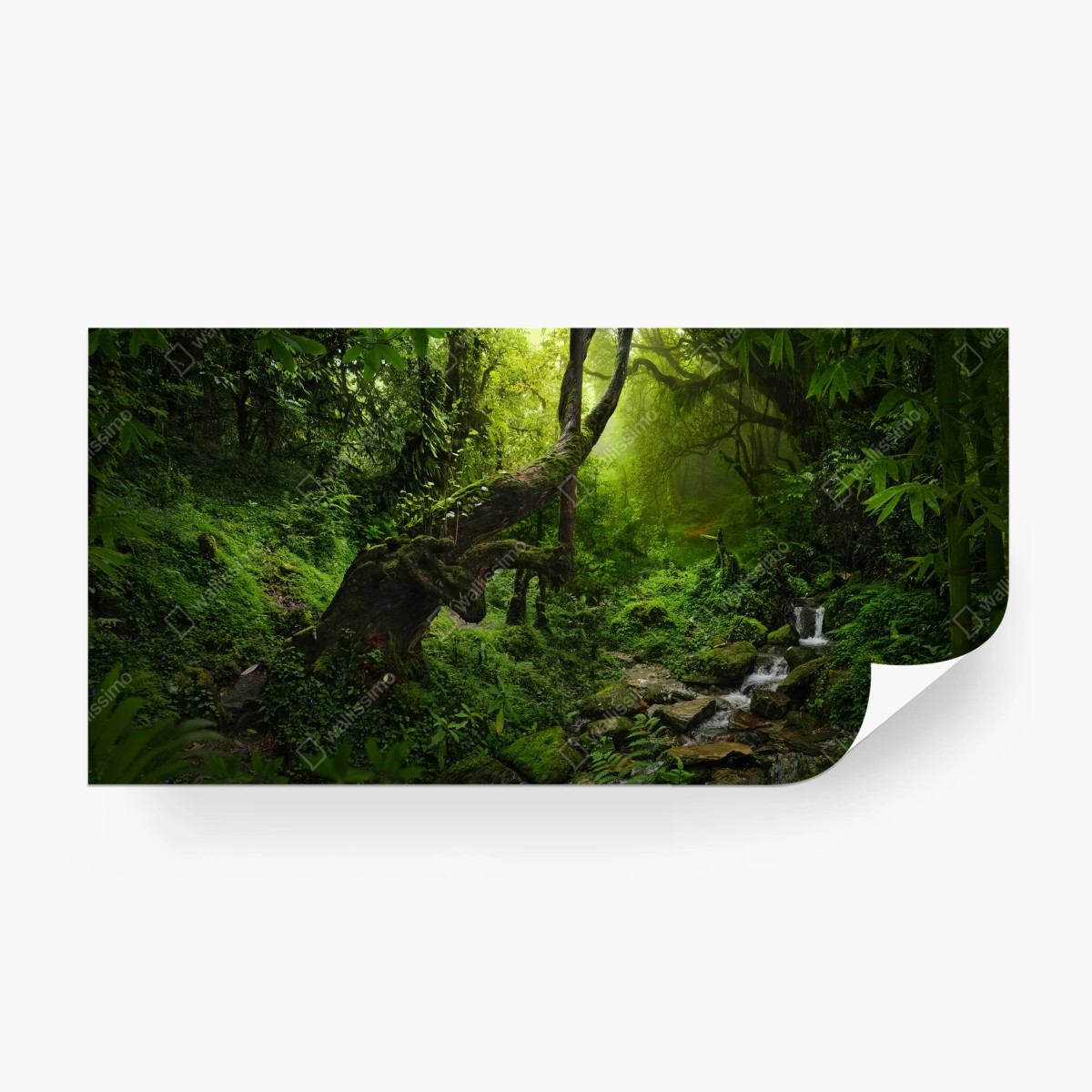 Wall mural enchanted mossy forest stream • Wallissimo® Wall mural enchanted mossy forest stream • Wallissimo®