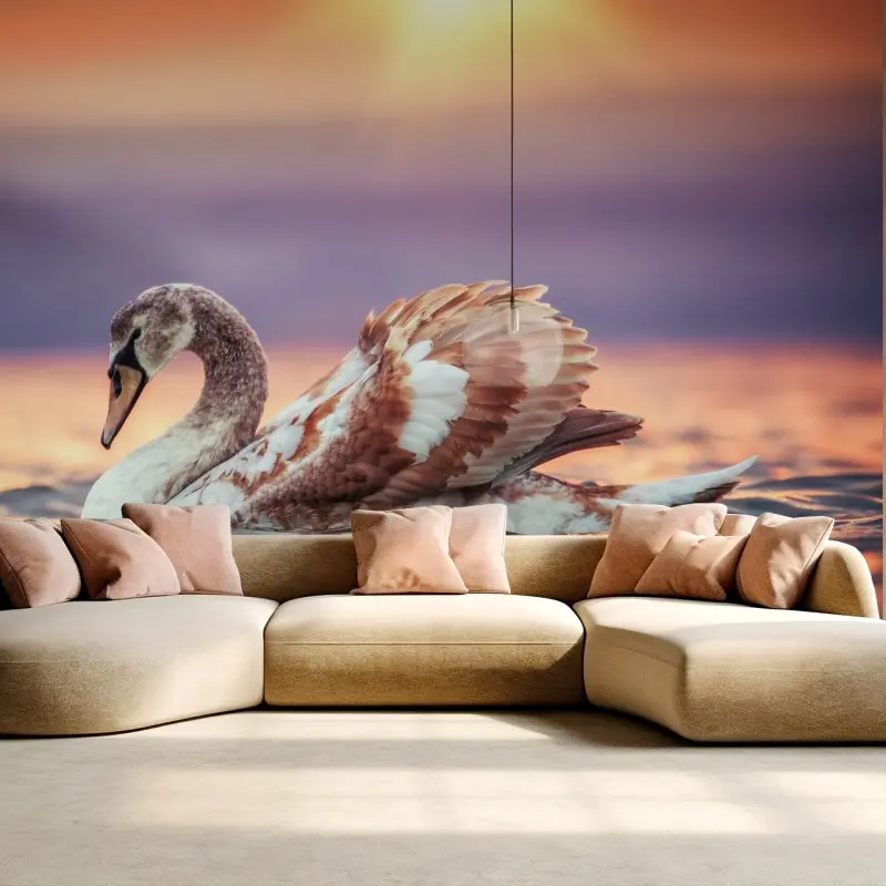 Wall mural graceful swan at sunset