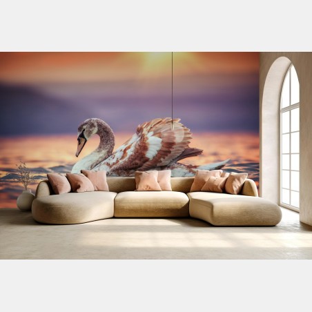 Wall mural graceful swan at sunset • Wallissimo®