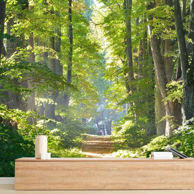 Wall mural sunlit forest path through green trees