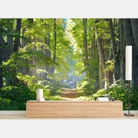 Wall mural sunlit forest path through green trees • Wallissimo®