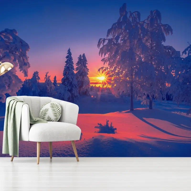 Wall mural winter sunset in snowy forest
