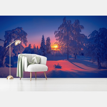 Wall mural winter sunset in snowy forest • Wallissimo®