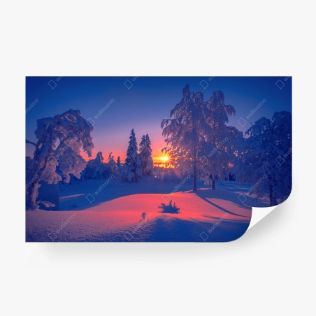 Wall mural winter sunset in snowy forest • Wallissimo®