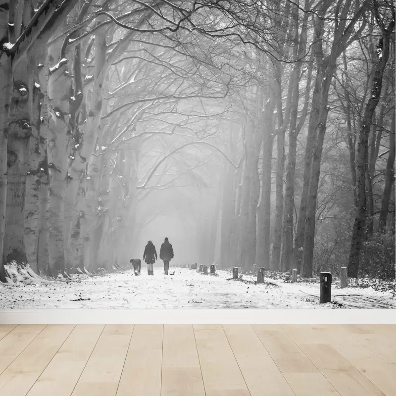 Wall mural misty winter forest pathway