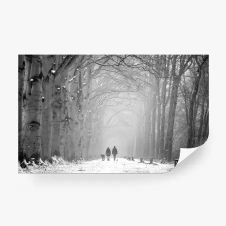 Wall mural misty winter forest pathway • Wallissimo®