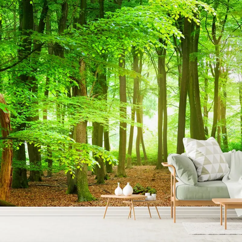 Wall mural sunlit green forest canopy