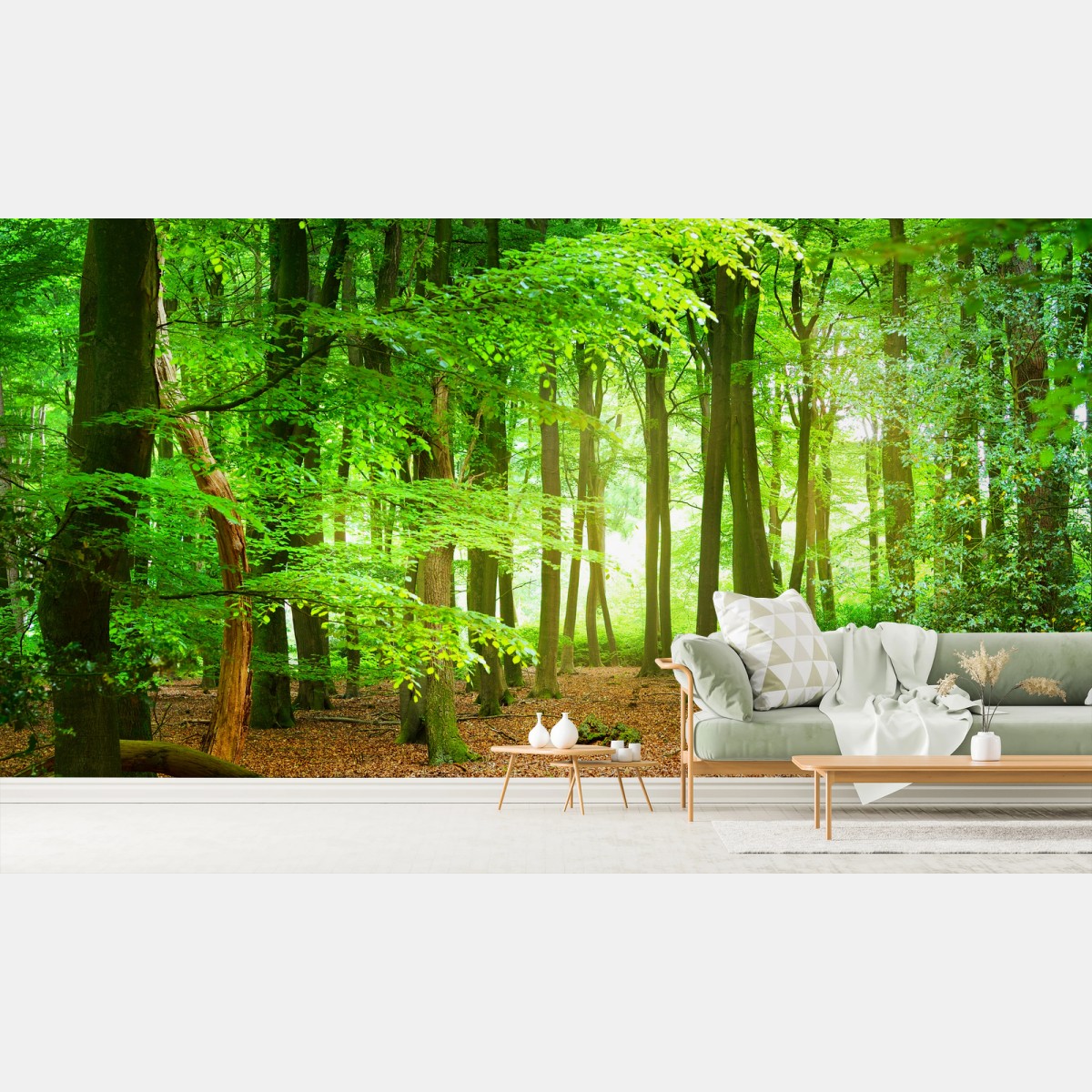 Wall mural sunlit green forest canopy • Wallissimo®