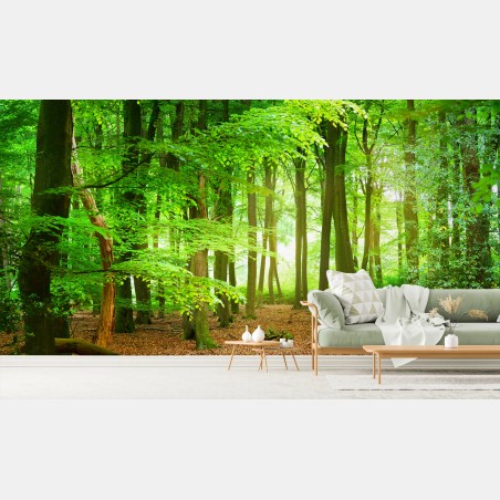 Wall mural sunlit green forest canopy • Wallissimo®