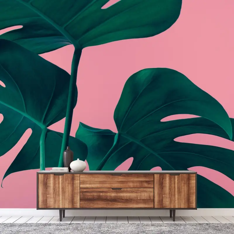 Wall mural tropical monstera leaves on pink background